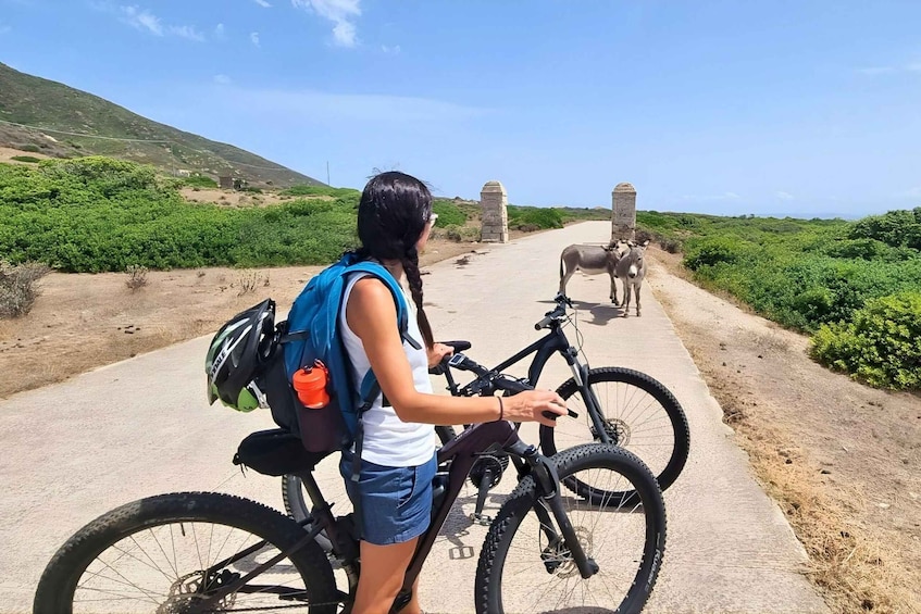From Porto Torres: E-Bike Rental 1