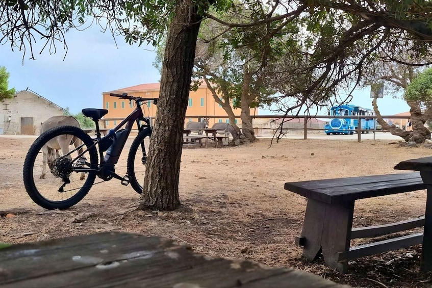 Picture 11 for Activity From Porto Torres: E-Bike Rental 5