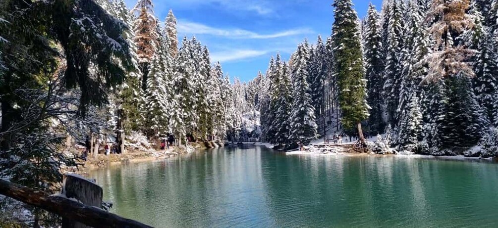 Picture 17 for Activity From Venice: Dolomiti, Lake Braies and Tre Cime di Lavaredo 4