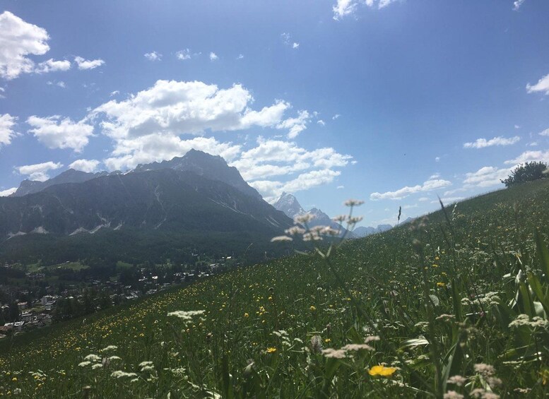 Picture 18 for Activity From Venice: Dolomiti, Lake Braies and Tre Cime di Lavaredo 2