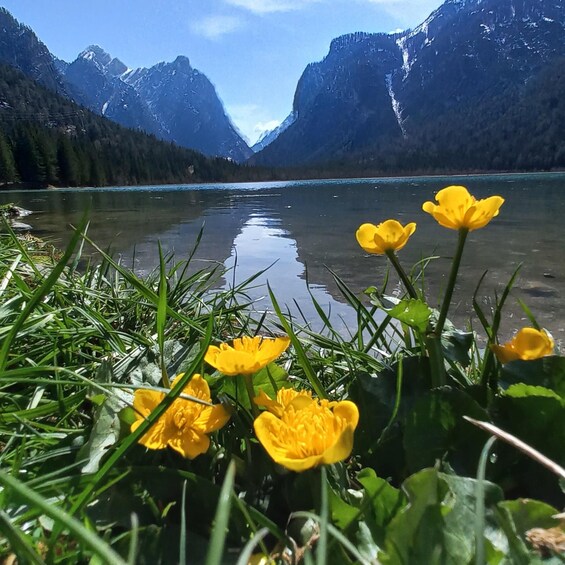 Picture 13 for Activity From Venice: Dolomiti, Lake Braies and Tre Cime di Lavaredo 2