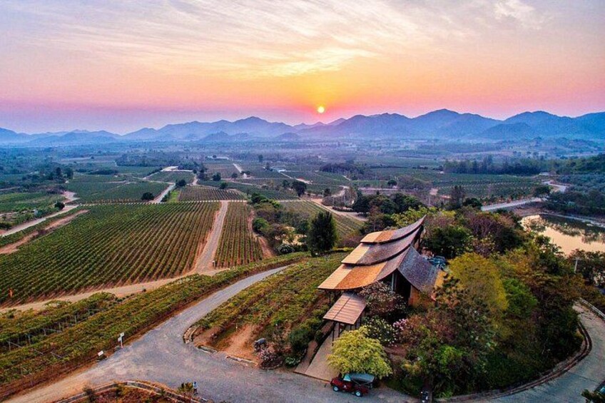 Private Experience of Wine Tasting Hua Hin in Monsoon Valley 1