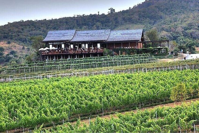 Private Experience of Wine Tasting Hua Hin in Monsoon Valley 4