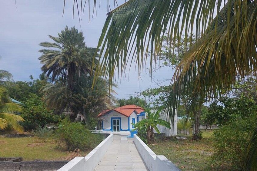 A pathway leading to a blue house with a red roof, surrounded by palm trees and greenery. 4
