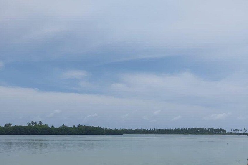 A calm body of water with a distant shoreline lined with trees. 3