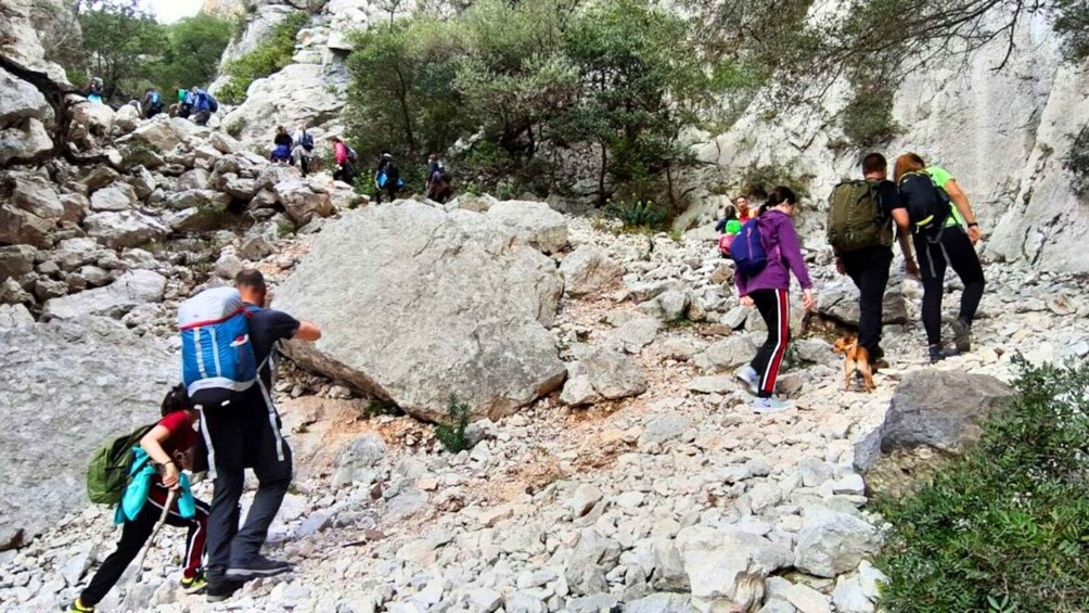 Senderistas caminando sobre un terreno rocoso con grandes piedras y poca vegetación. 5