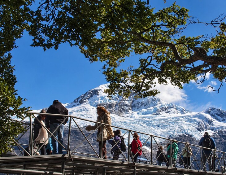 All Glacier Navigation: Sail Among Upsala and Spegazzini Glaciers 3