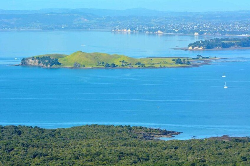 Browns Island Motukorea Sea Kayak Tour 2