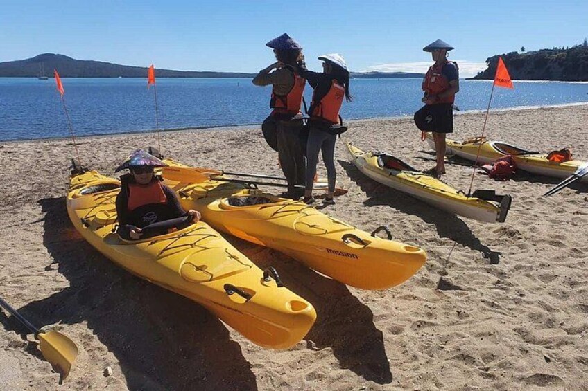 Browns Island Motukorea Sea Kayak Tour 4