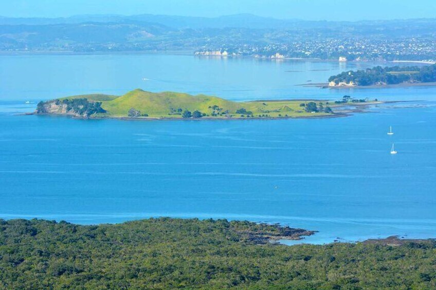 Browns Island Motukorea Sea Kayak Tour