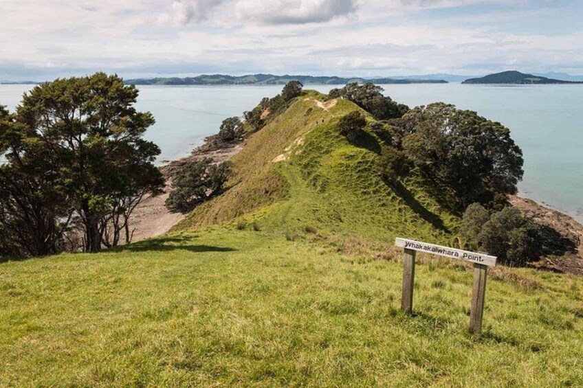Duder Regional Park Half-Day Walking Tour 1