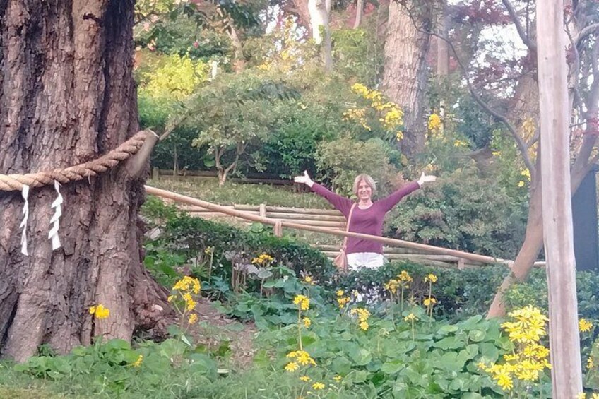 A person standing on a rope bridge in a garden with trees and yellow flowers. 2