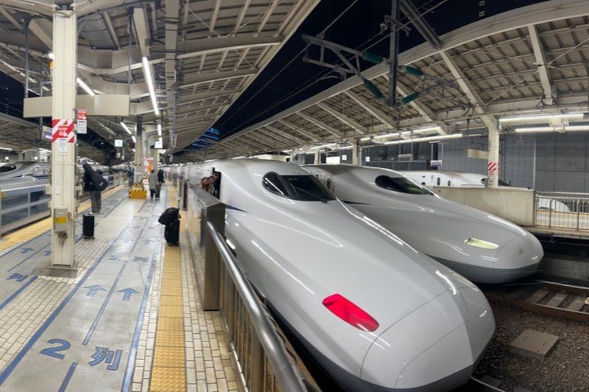 A train station with two trains, platform edge lines, and a few passengers. 4