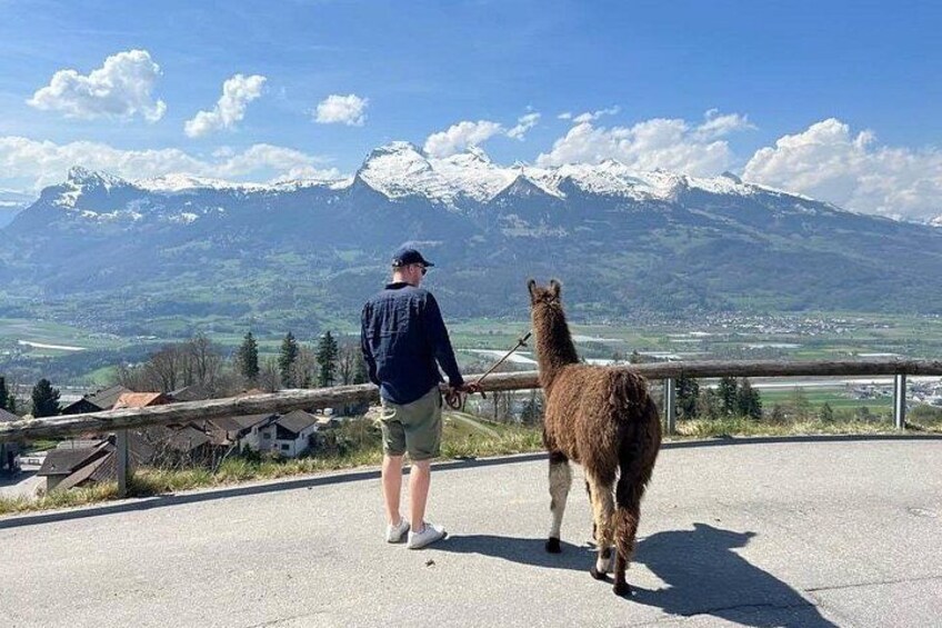 Llama hike through the wonderful Liechtenstein mountains 4