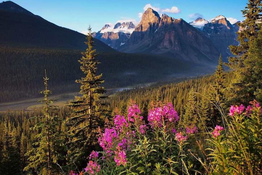 Icefields Parkway Self-Guided Driving Audio Tour 1