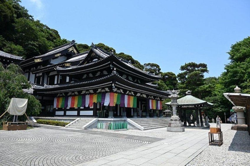 Hasedera 1