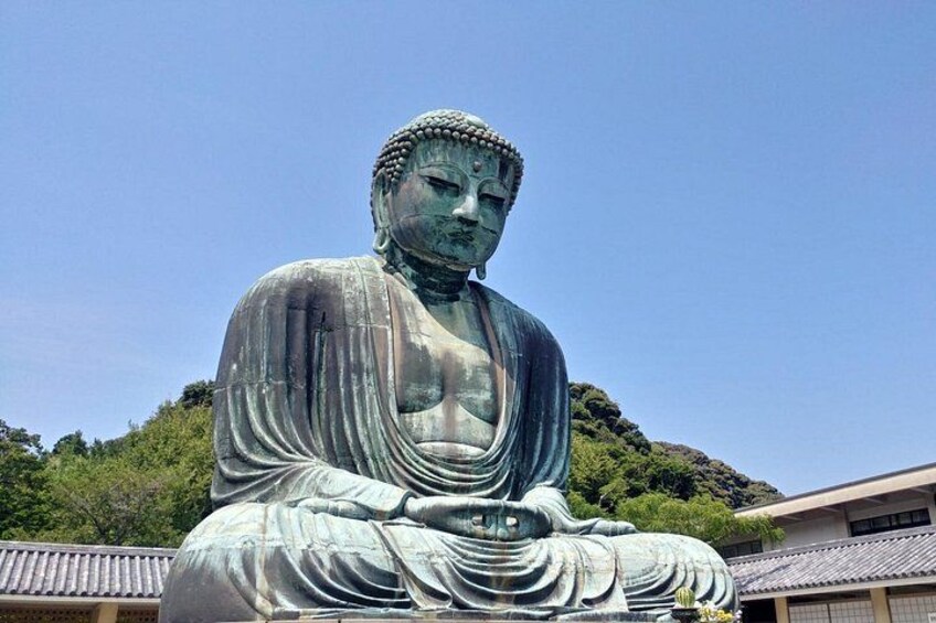 Great Buddha 5