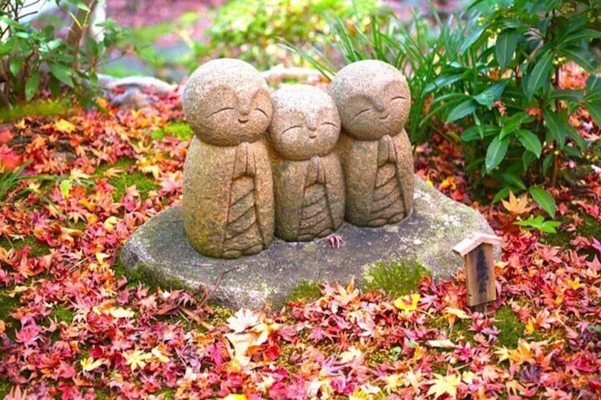 Hasedera 3