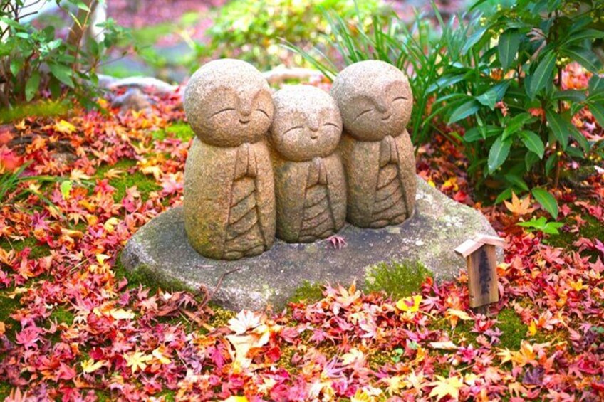 Hasedera 4