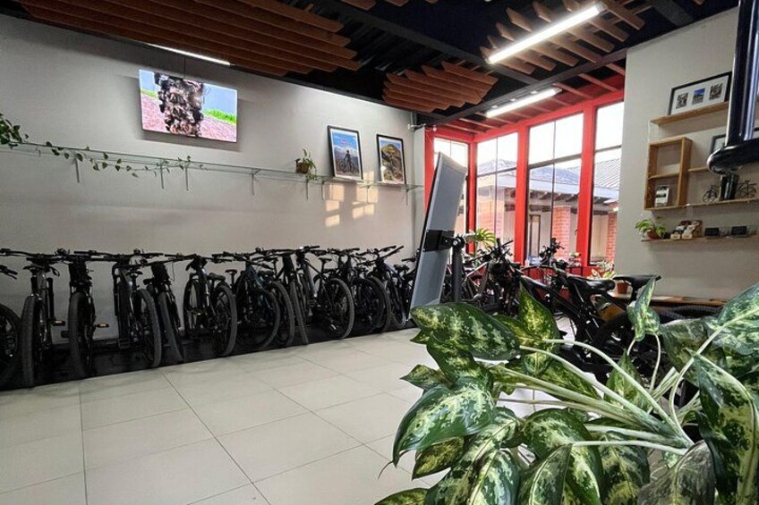 A room with bicycles, a TV, plants, and red-framed windows. 5