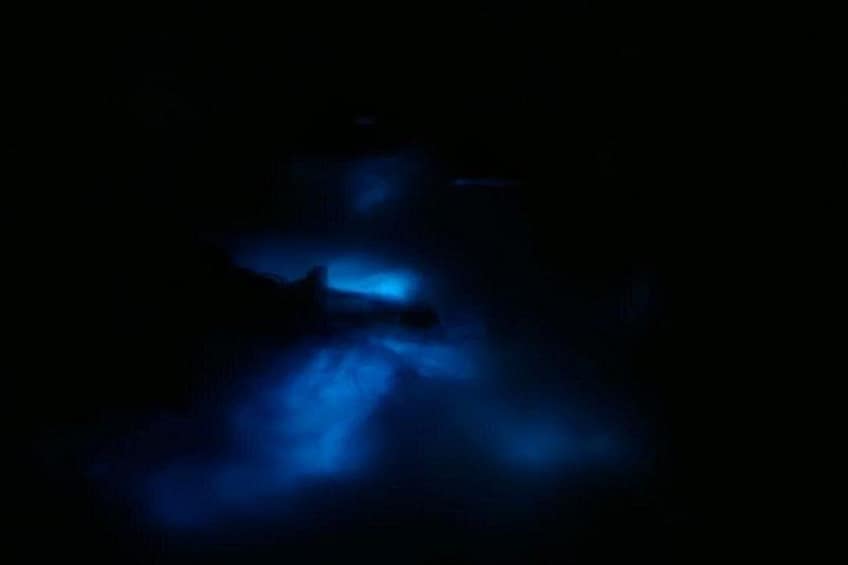 Luminous Lagoon Night Tour and Swim/Fire Dance from Montego Bay 2