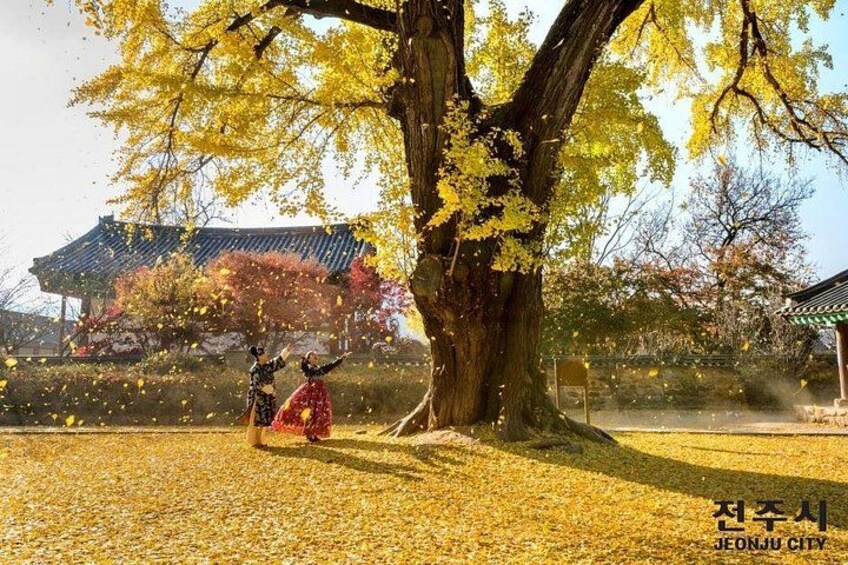 Jeonju Hanok Village Tour 3
