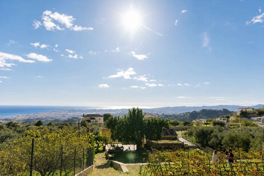 Picture 10 for Activity Malaga: Organic Winery Tour with 6 Wines, Tapas & Transfer 2