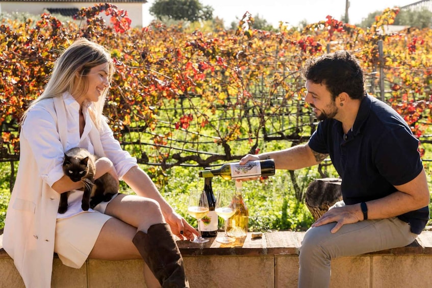 Picture 8 for Activity Malaga: Organic Vineyard Tour with 6 Wines, Tapas & Transfer 5