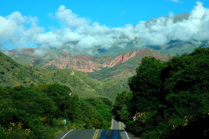 Cafayate + Cachi + Arrival and Departure Transfer + Walking tour free