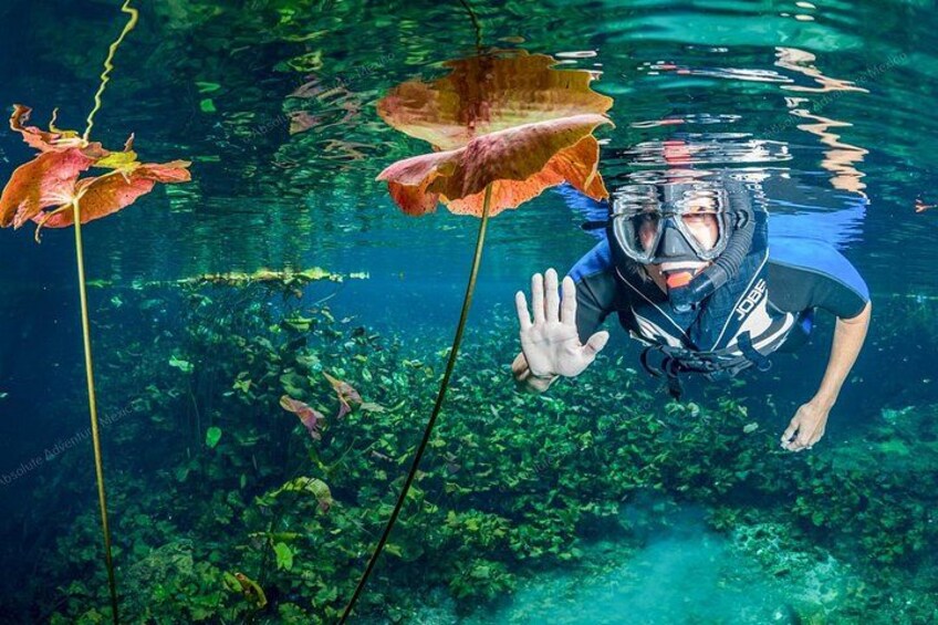 Cenote Nicte Ha 5