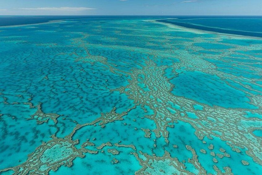 A coral reef system with clear blue waters and visible coral formations. 2