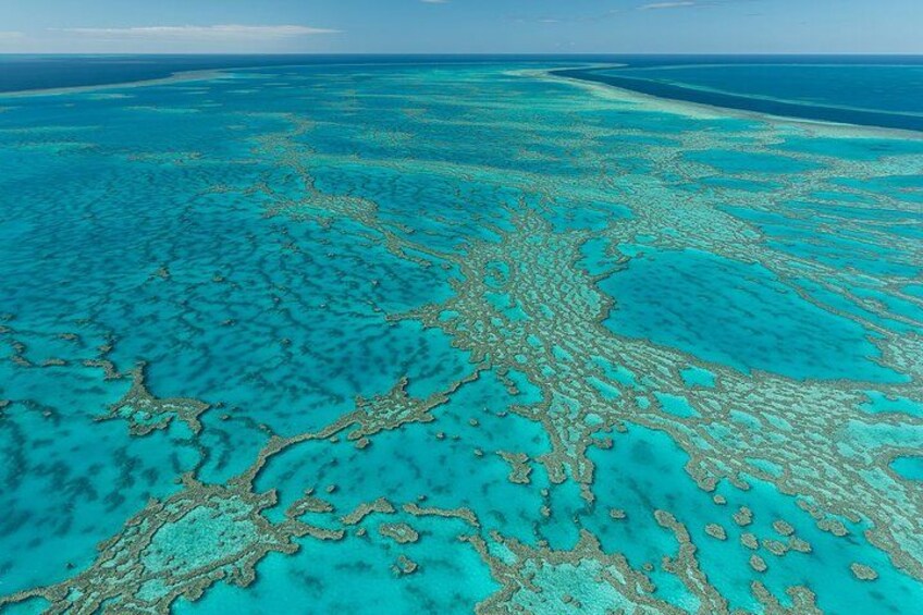 Vista aérea de un sistema de arrecife de coral con aguas azul turquesa y formaciones coralinas visibles. 5