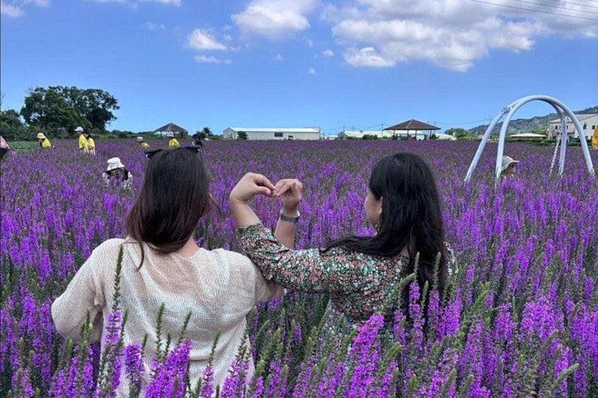 12hrs - Chiayi Meteor Garden Classic Tour From Taipei 2