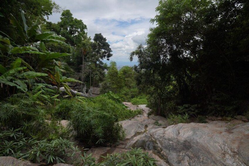 Suthep Golden-PaLad Secret Temples & Sticky Waterfall-Thai Buffet 5