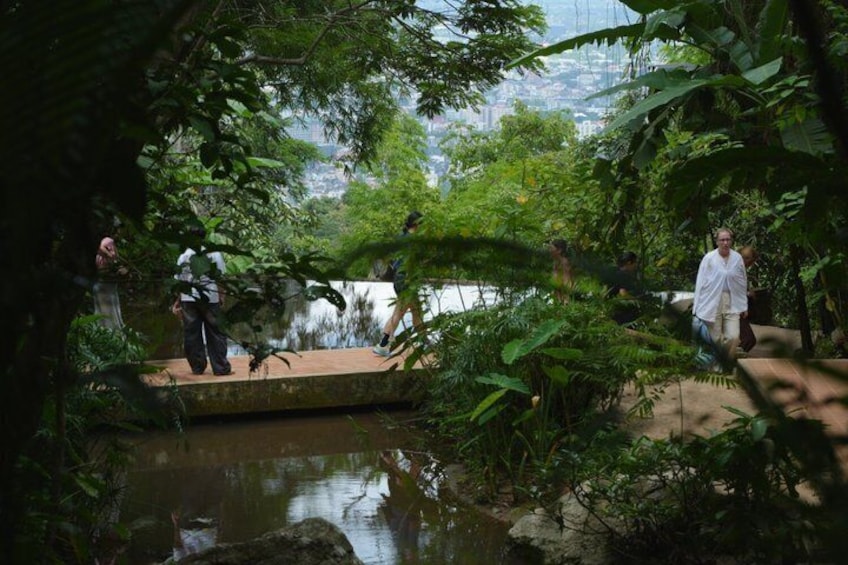 Suthep Golden-PhaLat Secret Temples& Sticky Waterfall-Thai Buffet 2