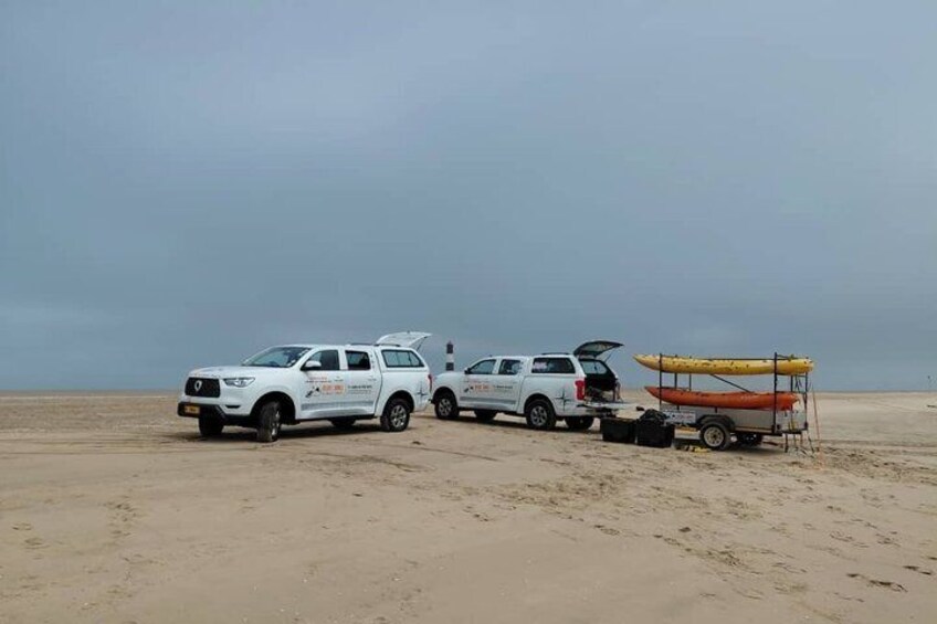 Seal Kayaking at Pelican Point from Swakopmund 2