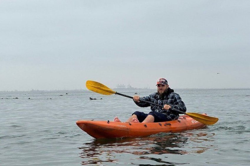 Seal Kayaking at Pelican Point from Swakopmund 3
