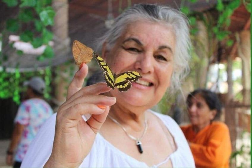 City tour express, Butterfly, tequila, river and beach (free kids) 2