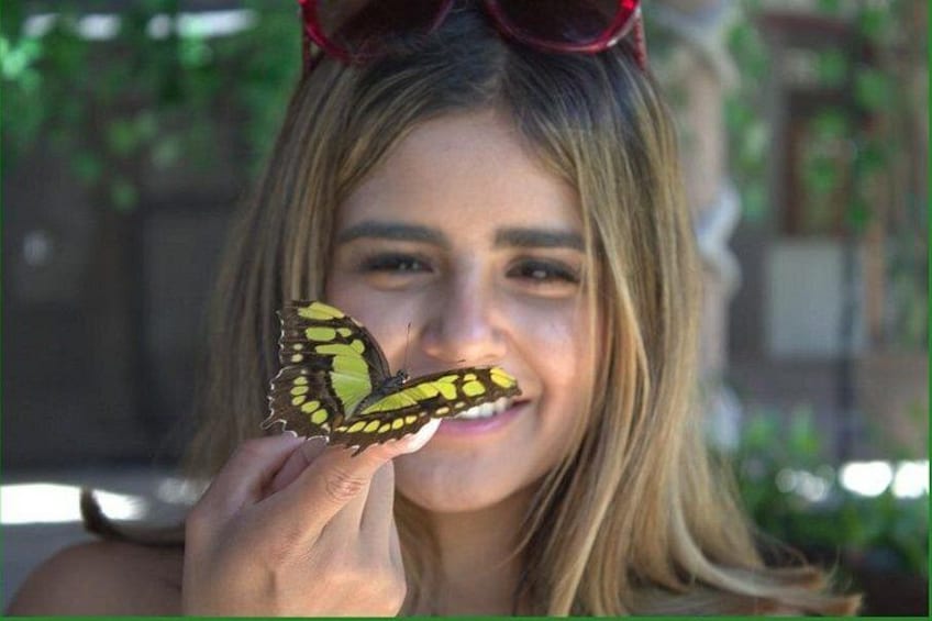 A person holding a butterfly. 4