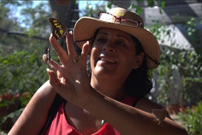 City tour express, Butterfly, tequila, river and beach (free kids) 1