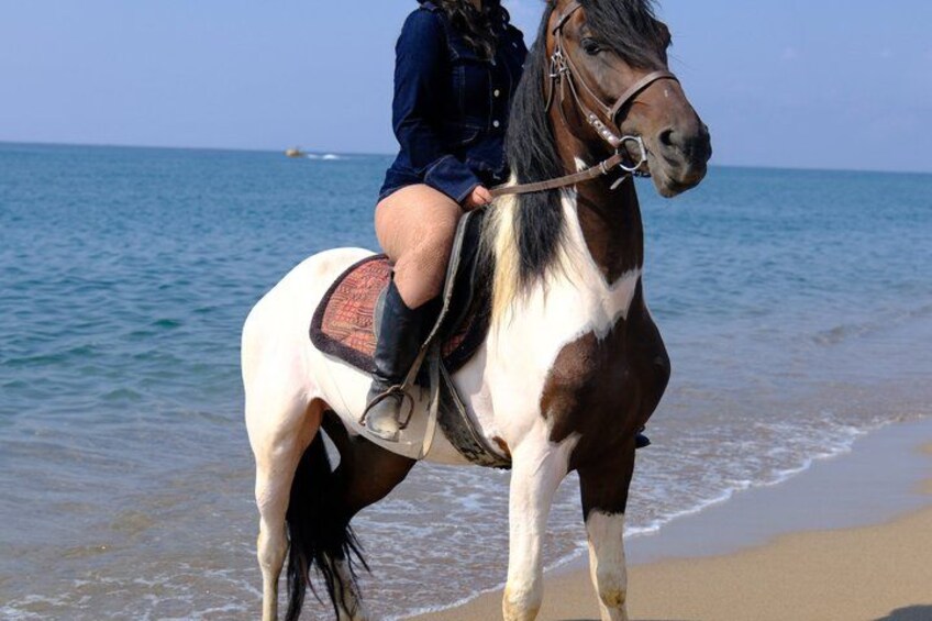 Horse back Riding in Antalya 4