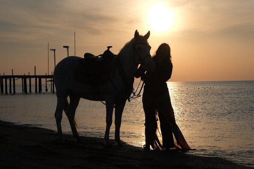 Un coucher de soleil sur une plage, avec un cheval et son cavalier. 2