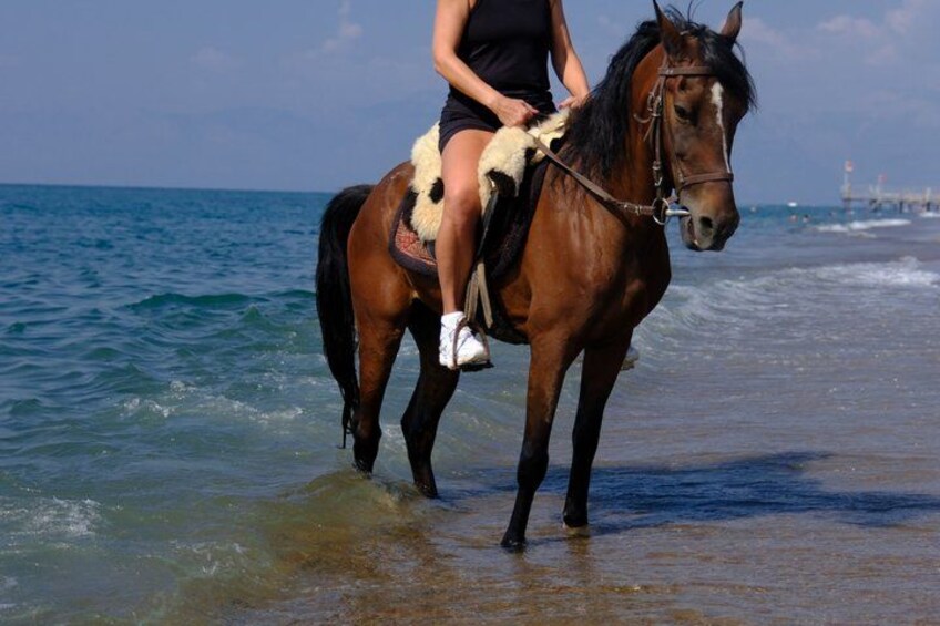 Horse back Riding in Antalya 2