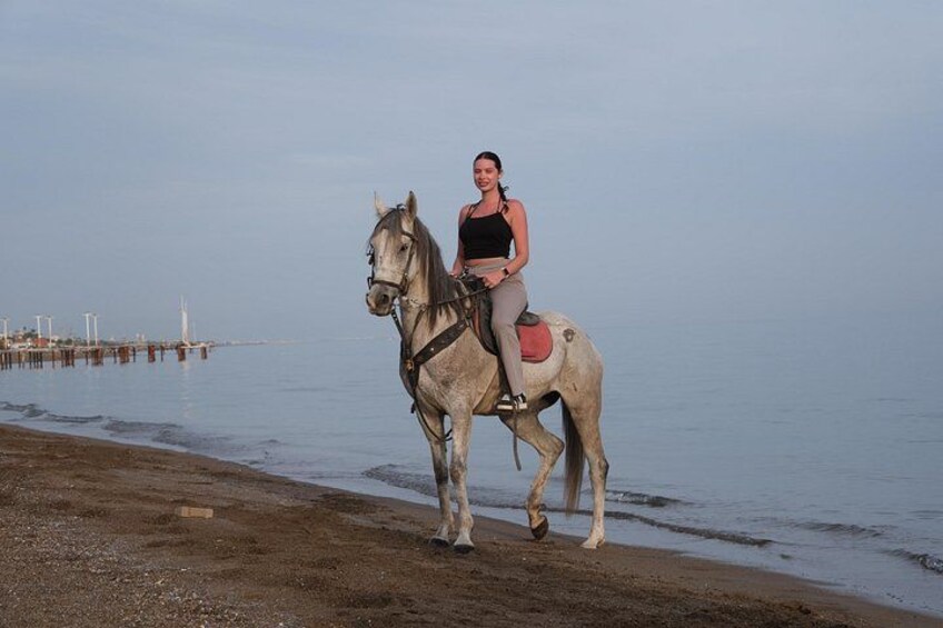 Une personne à cheval sur une plage, avec une jetée en arrière-plan. 5