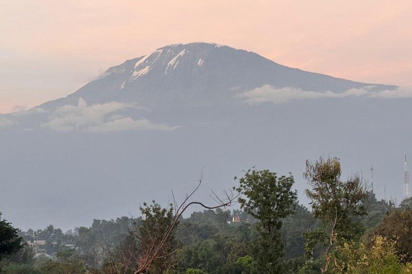 Moshi City Tour: Explore the Foothill of Kilimanjaro on Foot 2