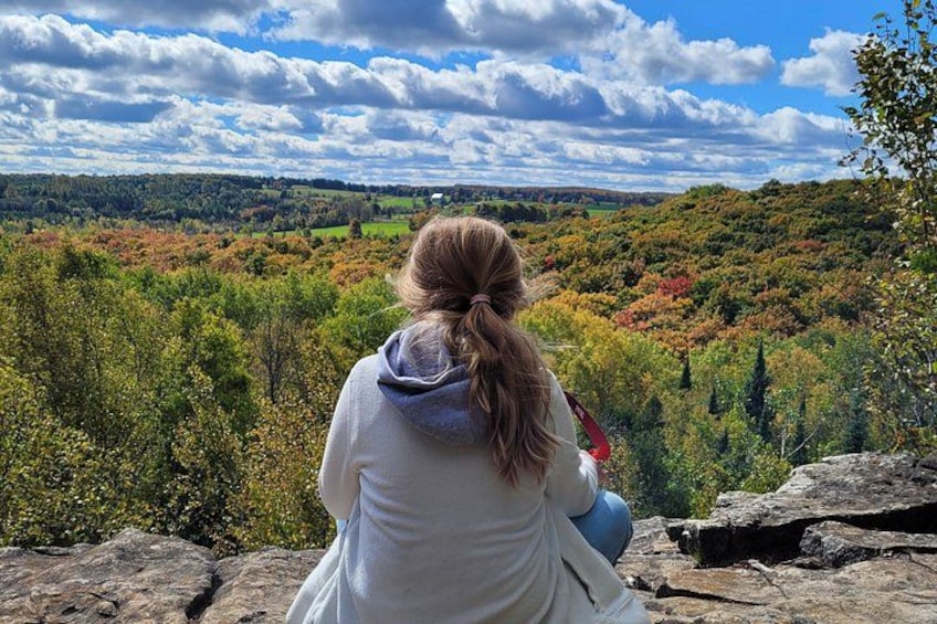 A person sitting on a rock overlooking a landscape with autumn-colored trees. 4