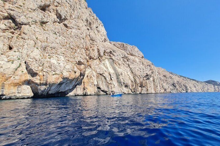 Boat excursion to watch dolphins on the island of Figarolo