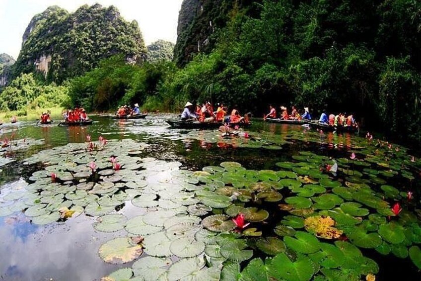 Best Seller-Private Full-Day Tour to Ninh Binh Depart from Hanoi 5