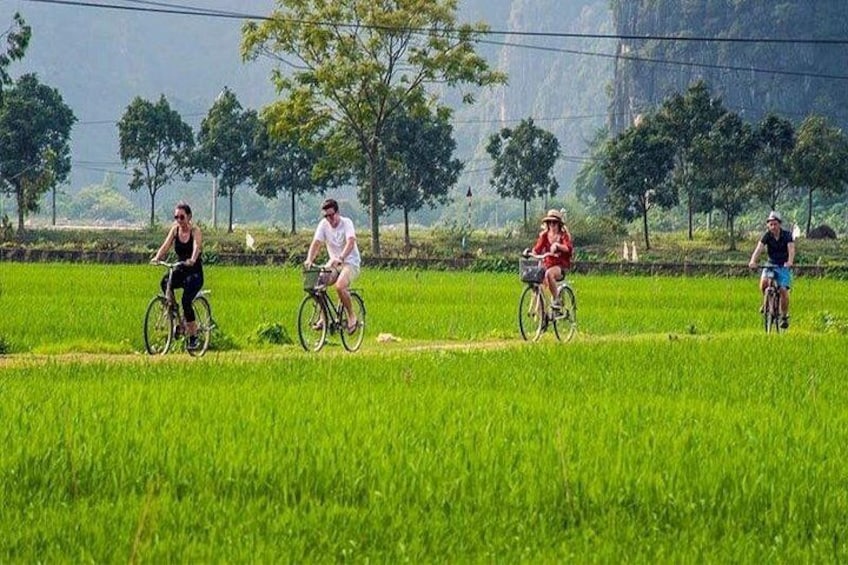 Best Seller-Private Full-Day Tour to Ninh Binh Depart from Hanoi 4