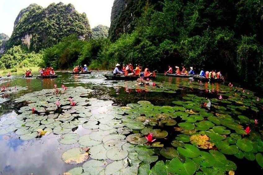 Best Seller-Private Full-Day Tour to Ninh Binh Depart from Hanoi 2